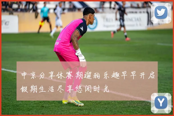 申京分享休赛期遛狗乐趣早早开启假期生活尽享悠闲时光