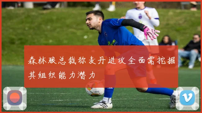 森林狼总裁称麦丹进攻全面需挖掘其组织能力潜力