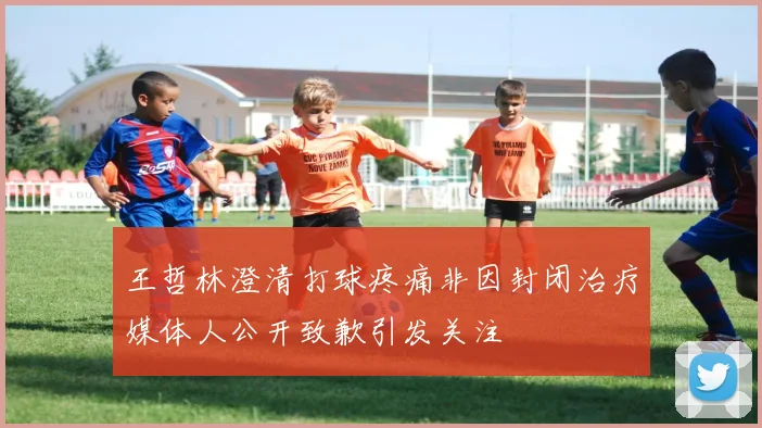 王哲林澄清打球疼痛非因封闭治疗媒体人公开致歉引发关注